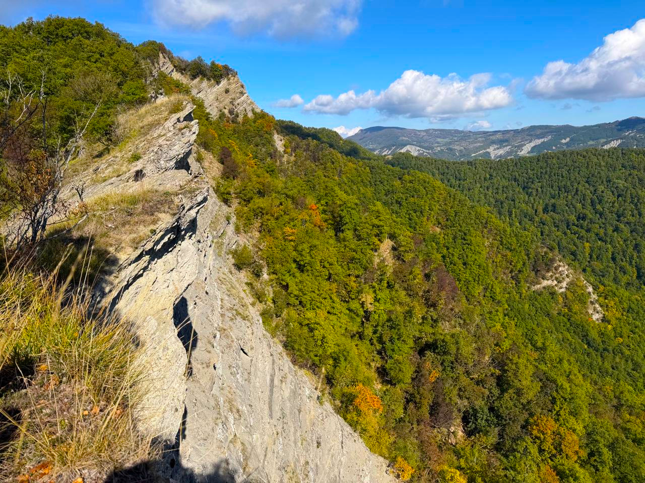 LA MAGIA DELLA FAGGETA NELLA RISERVA NATURALE DELL'ALTA VALLE DEL TEVERE