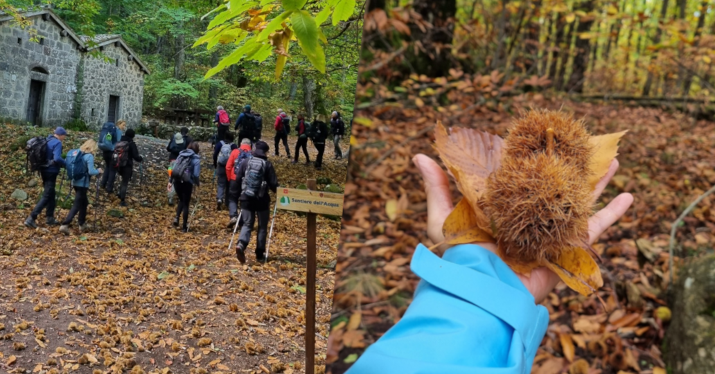 MONTE AMIATA IN AUTUNNO...FRA CASTAGNETI E FAGGETE